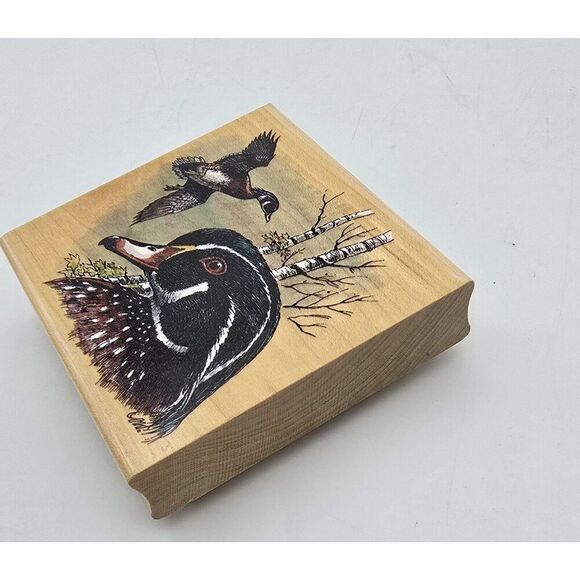 STAMPA ROSA RUBBER STAMP Ducks 300-41 Wood Duck New Michaelsen 1999 - Picture 9 of 11